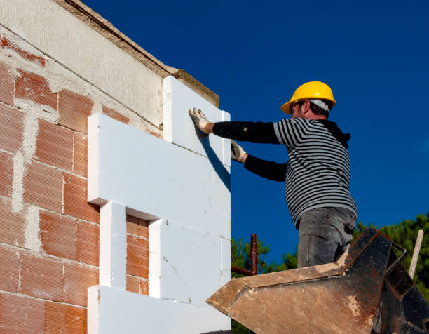 Best Spray Foam Insulation  in Chaffee, MO