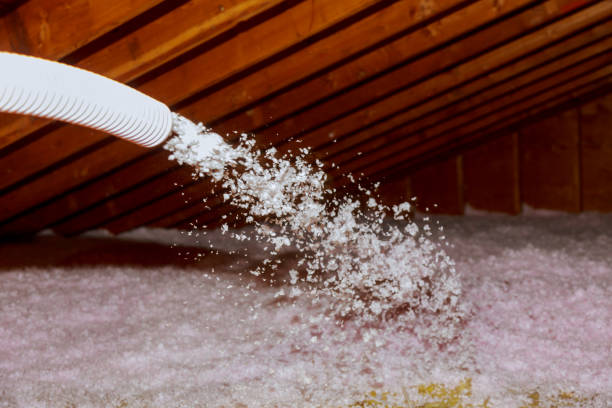 Best Spray Foam Insulation  in Chaffee, MO