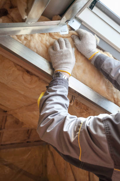 Best Insulation for New Construction  in Chaffee, MO