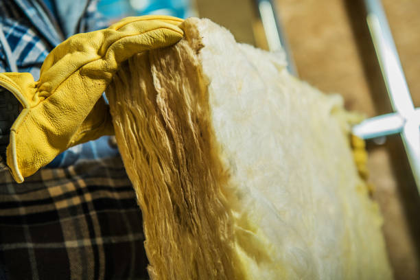 Best Home Insulation Services  in Chaffee, MO