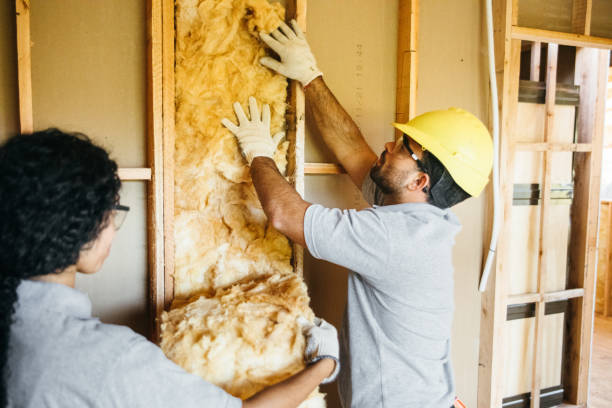 Best Insulation Contractor Near Me  in Chaffee, MO