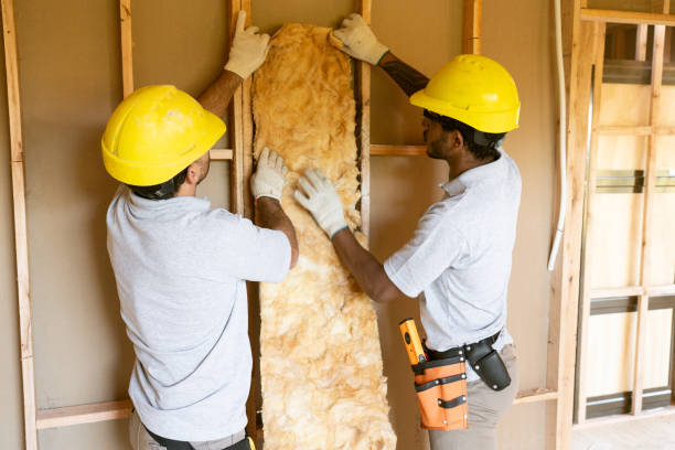 Best Garage Insulation Installation  in Chaffee, MO