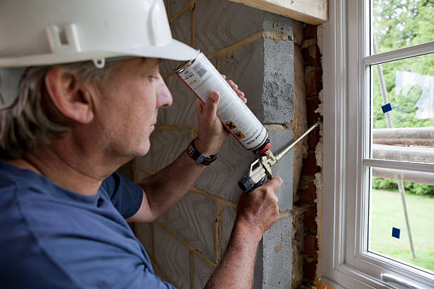 Best Fiberglass Insulation  in Chaffee, MO