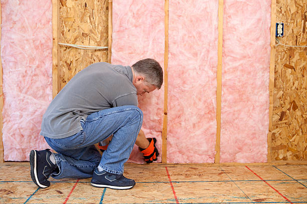 Professional Insulation Contractor in Chaffee, MO