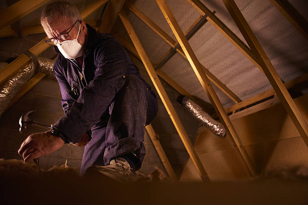 Best Cellulose Insulation  in Chaffee, MO